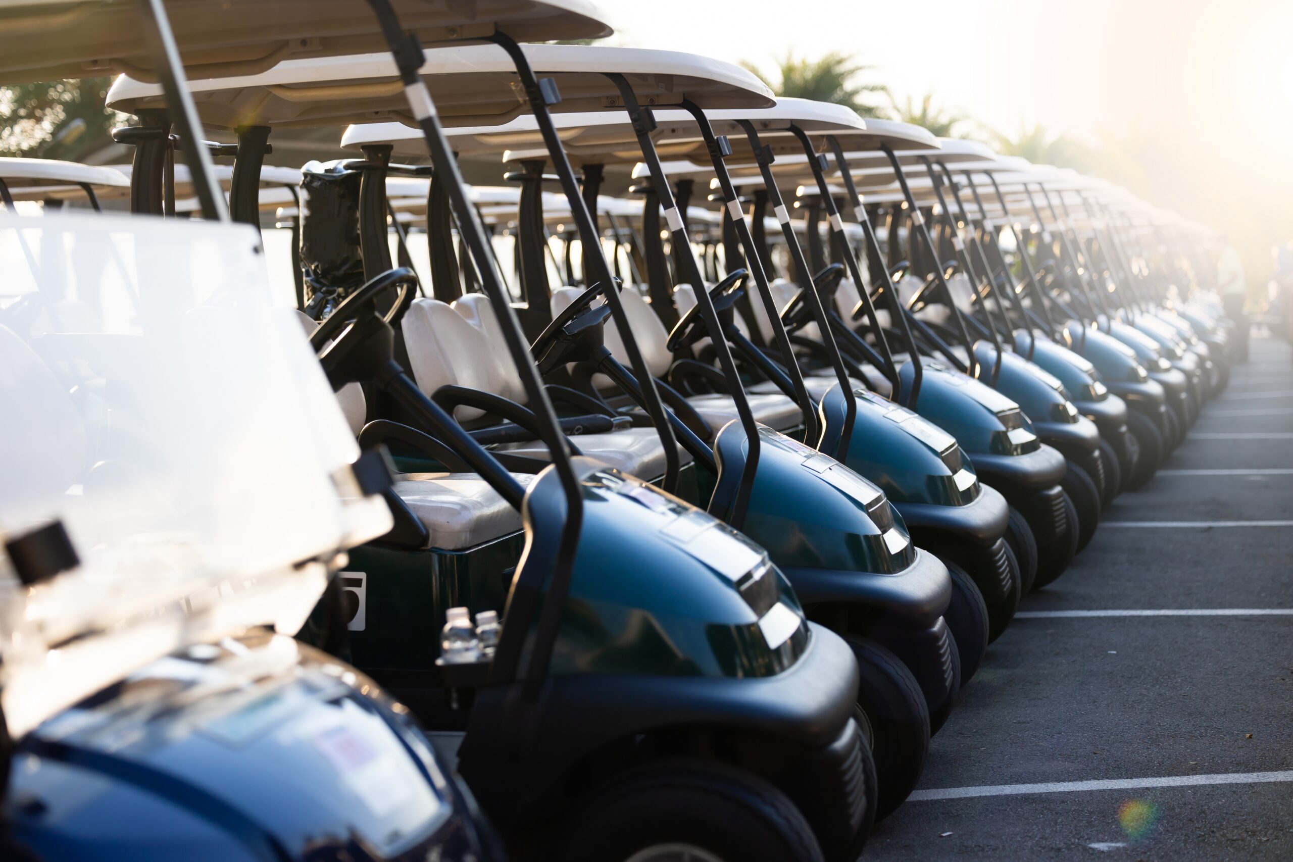 Golf cart MD