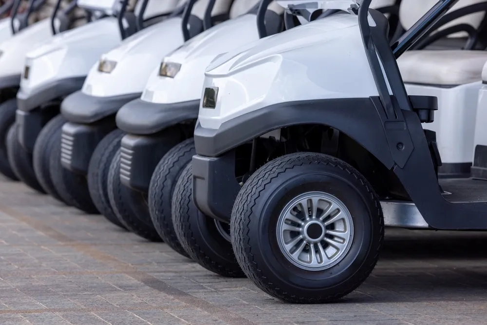 Security Patrol Applications: Equipping Golf Carts for Safety Tea