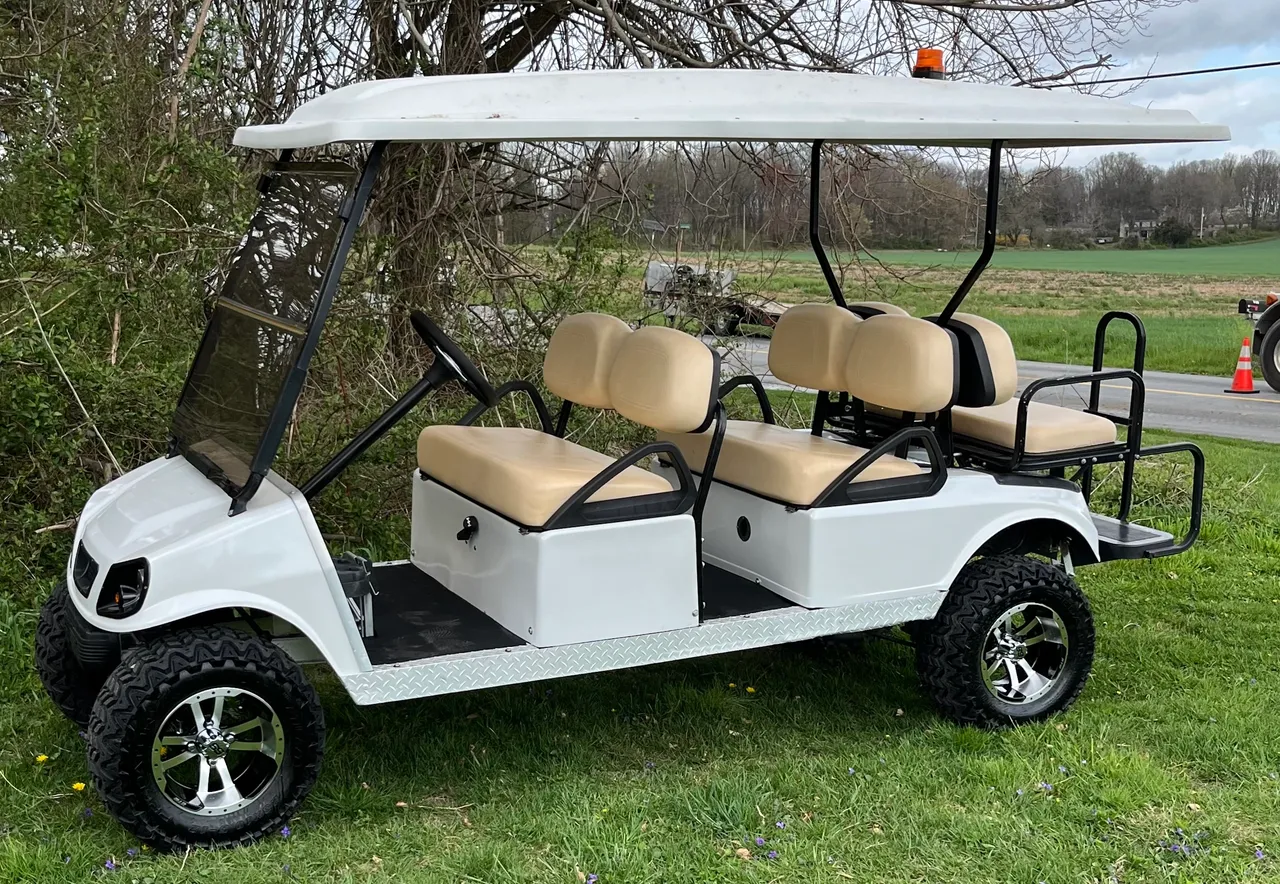The Top Golf Cart Brands in 2024: A Comprehensive Review