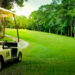 What to Know When Buying a Golf Cart: A Complete Buyer's Guide
