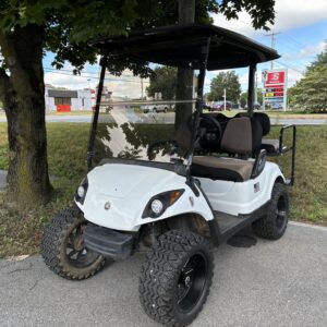 2007 Yamaha G29