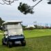 Icon, Denago, Epic: Choosing The Golf Cart For You