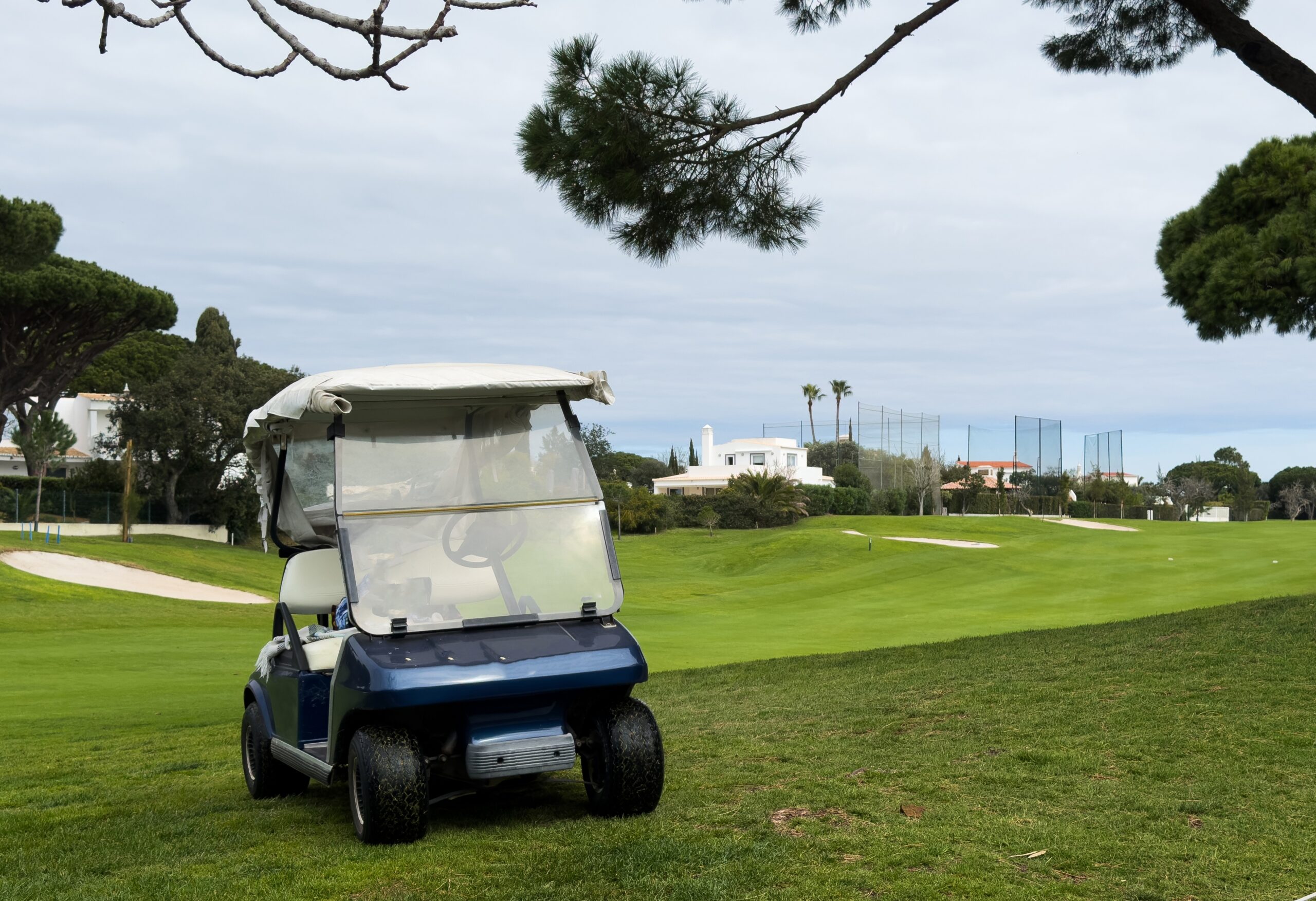 Icon, Denago, Epic: Choosing The Golf Cart For You